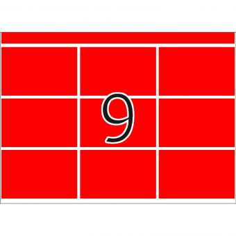 HERMA labels for printing presses DP1, 2952, paper red, 34x53 mm, 280 sheets/2.500 labels 
